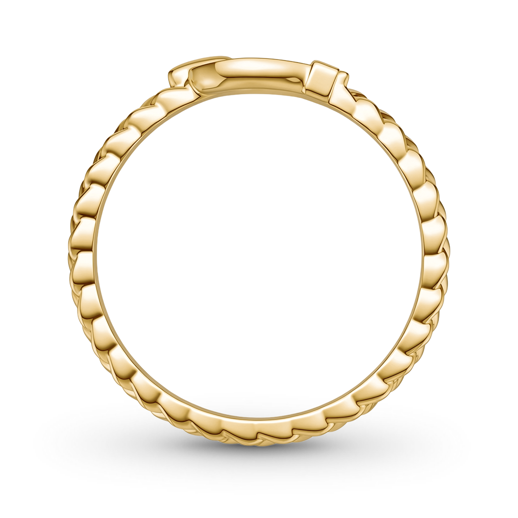 Gnoce Braided Horseshoe Ring_6