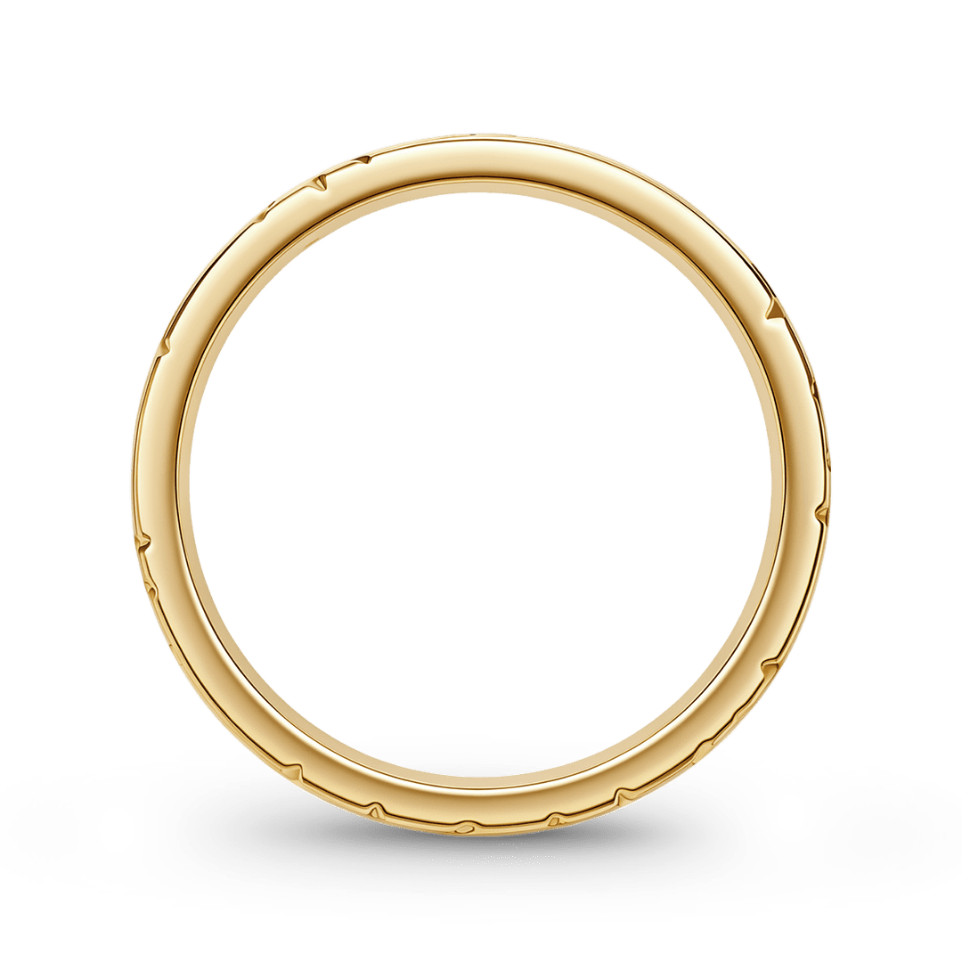 Gnoce Flying Bison Engraved Ring_7