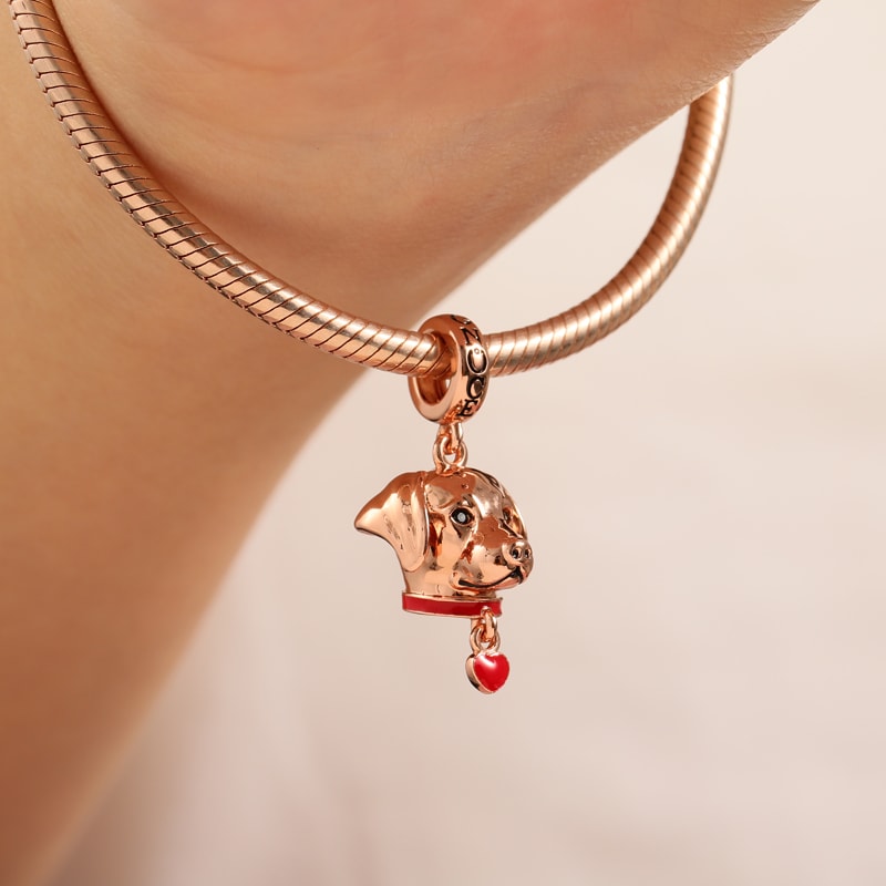 Gnoce Labrador Charm_3