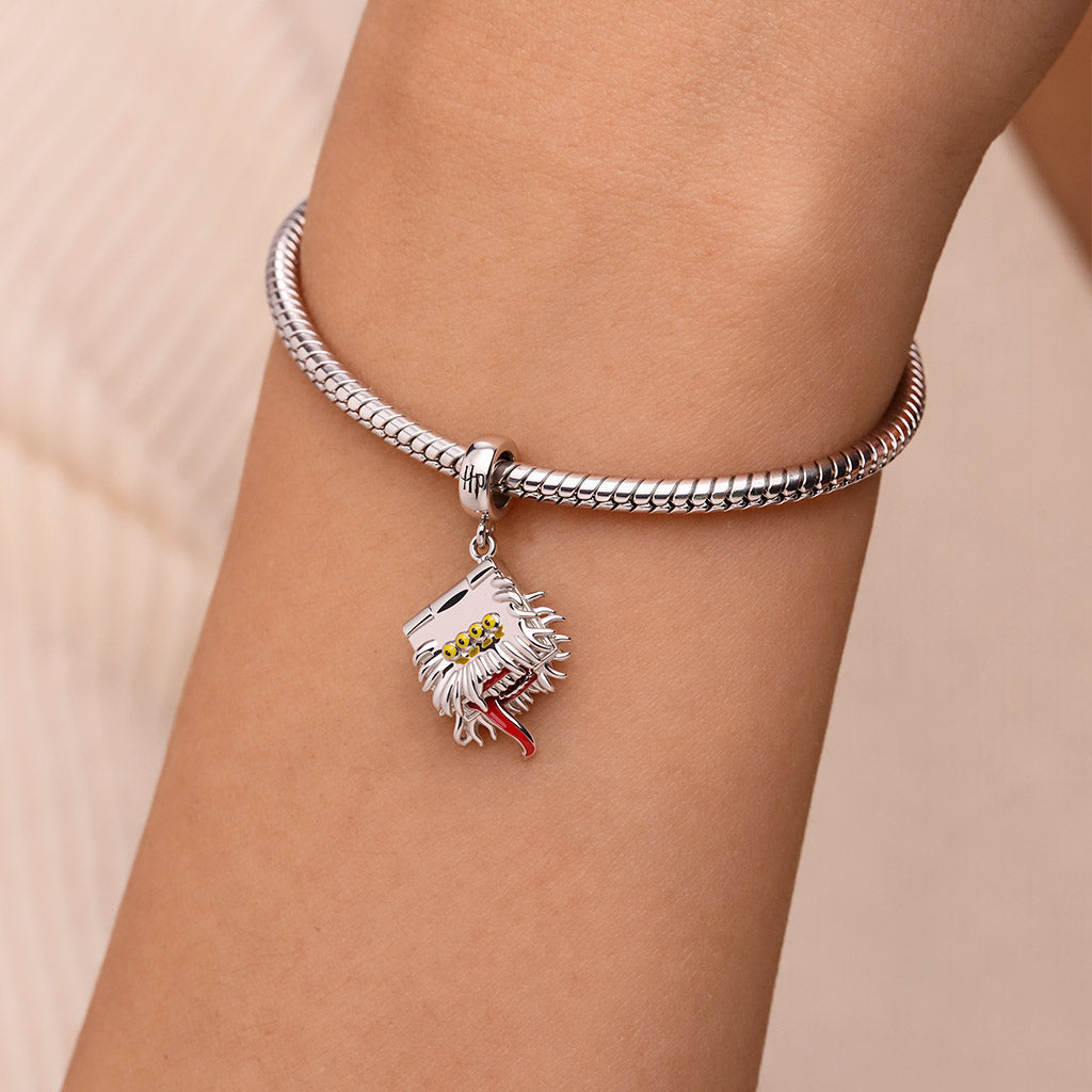 Gnoce Harry Potter Monster Book Charm_3