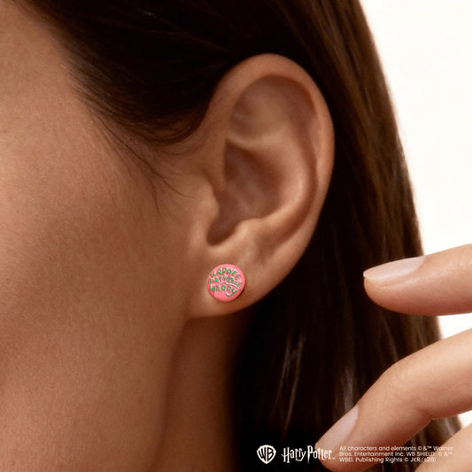 Gnoce Harry Potter Hagrid Birthday Cake Stud Earrings_3
