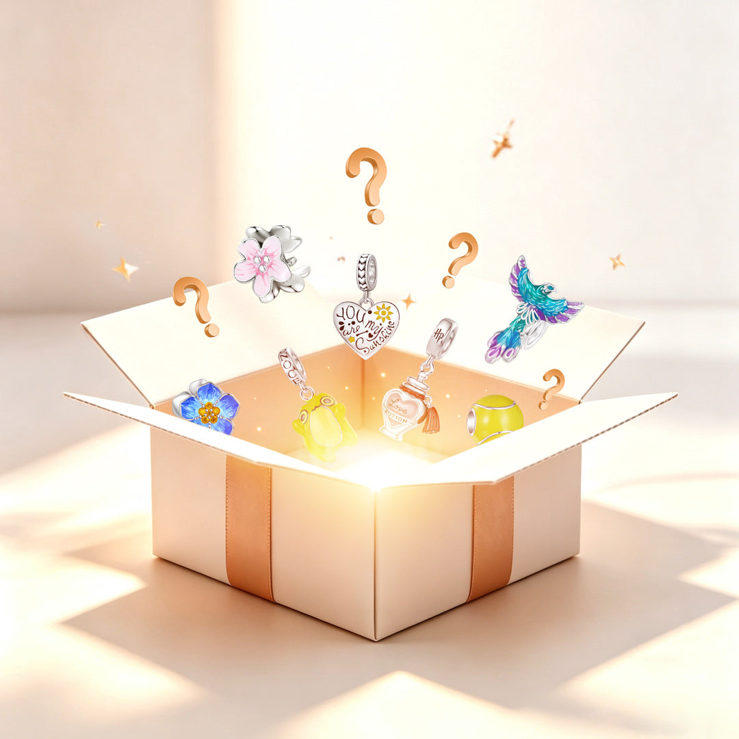 6+ Charms Mystery Box_1