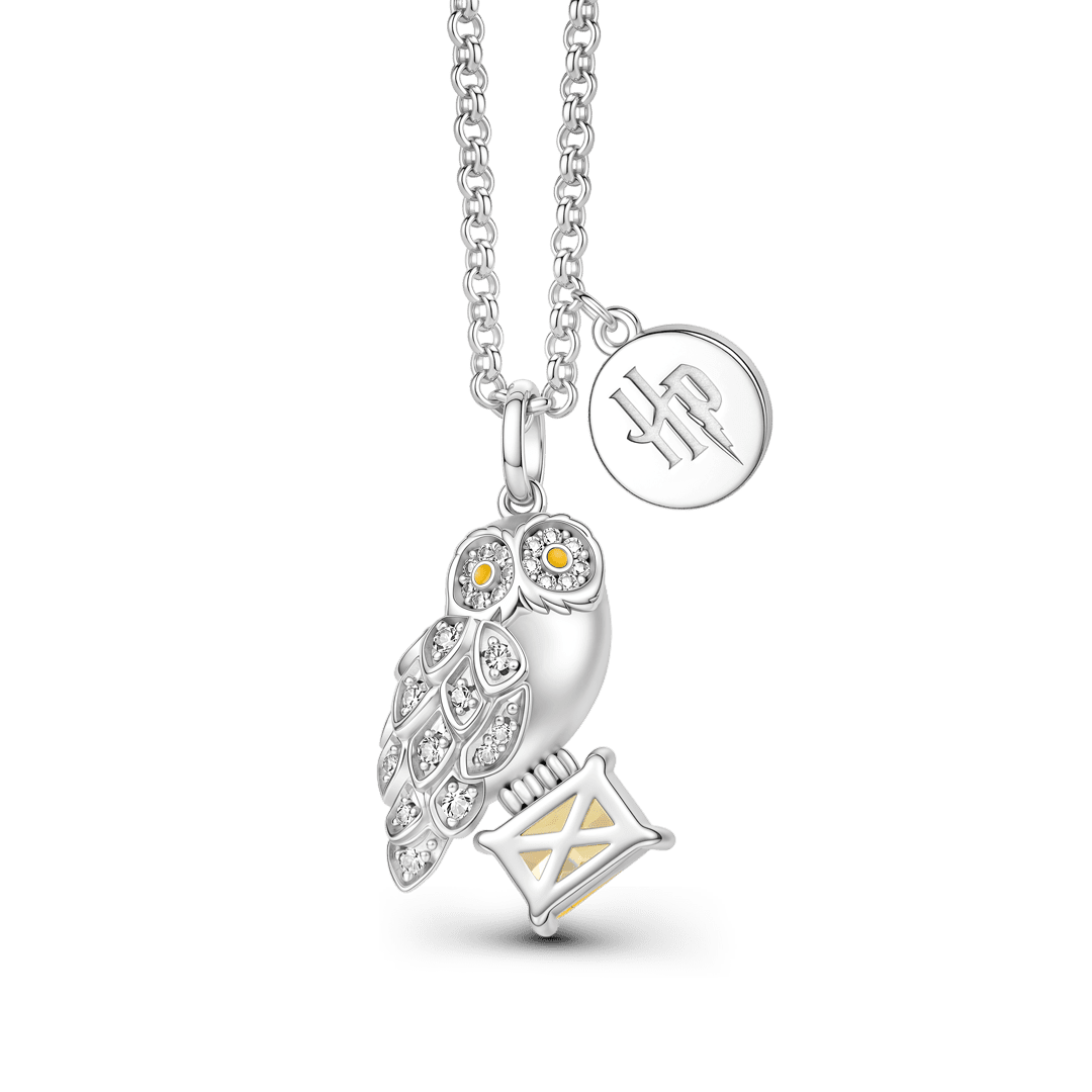Gnoce Harry Potter Hedwig Owl with Gem Envelope Necklace_1