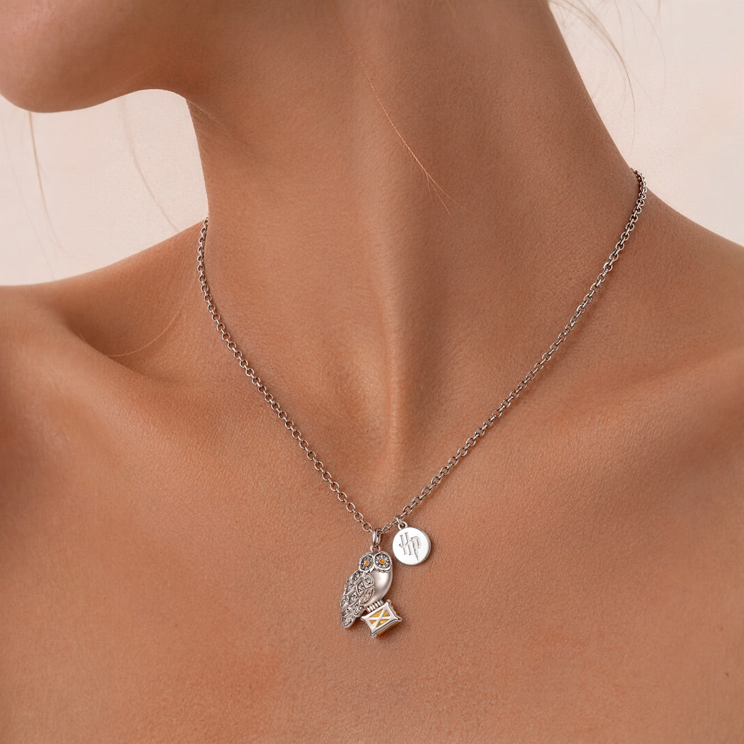 Gnoce Harry Potter Hedwig Owl with Gem Envelope Necklace_2