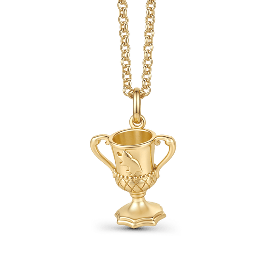 Gnoce Harry Potter Hufflepuff House Cup Pendant Necklace_1