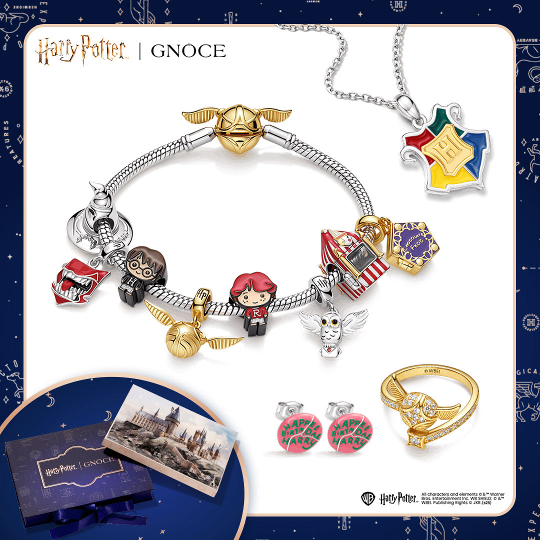 2026 Gnoce 12-Piece Harry Potter Style Advent Calendar_1